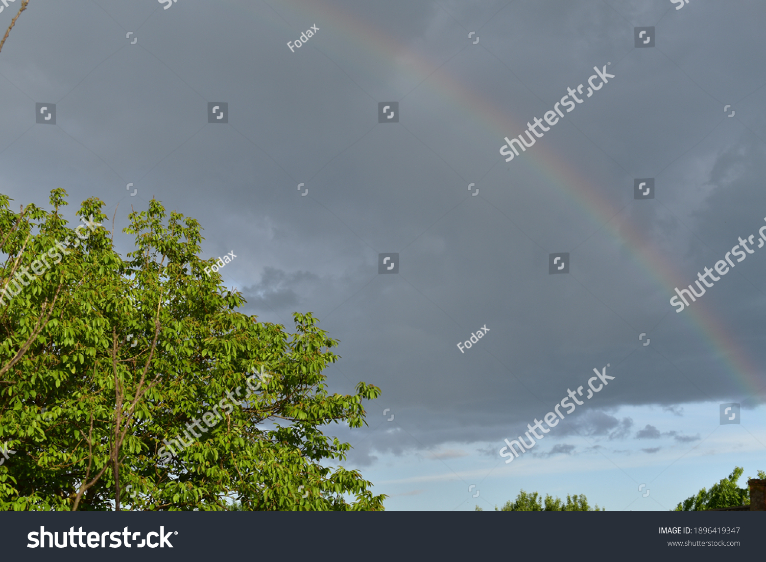 Rainbow in the village Kazimirawka, Belarus #1896419347