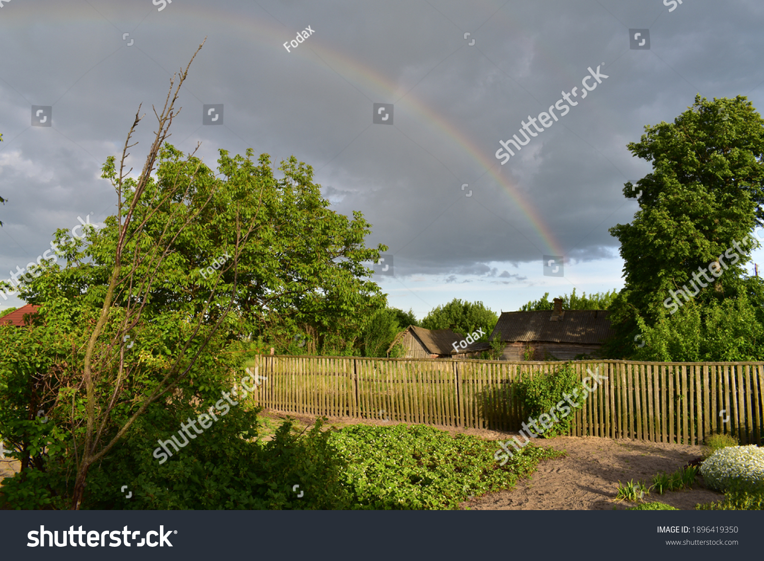 Rainbow in the village Kazimirawka, Belarus #1896419350