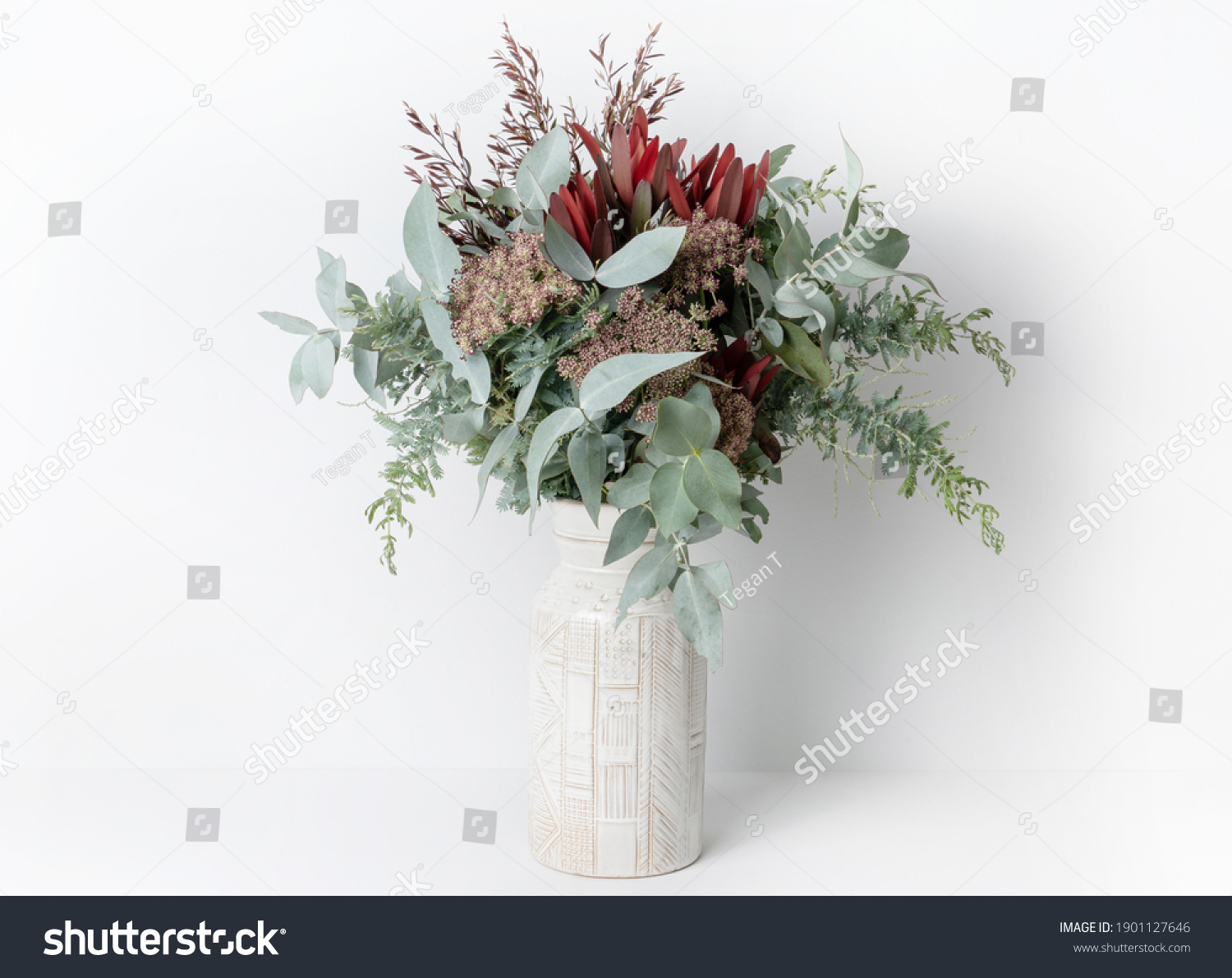Beautiful flower arrangement of mostly Australian native flowers, including Silvan Reds, Queen Anne's Lace, Wattle foliage and Eucalyptus leaves, in a ceramic white vase, with a white background. #1901127646