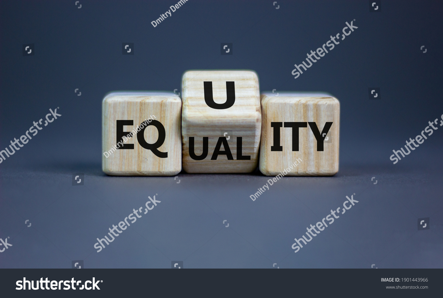 Equality or equity symbol. Turned a cube and changed the word 'equality' to 'equity'. Beautiful grey background. Psychology, business and equality or equity concept. Copy space. #1901443966