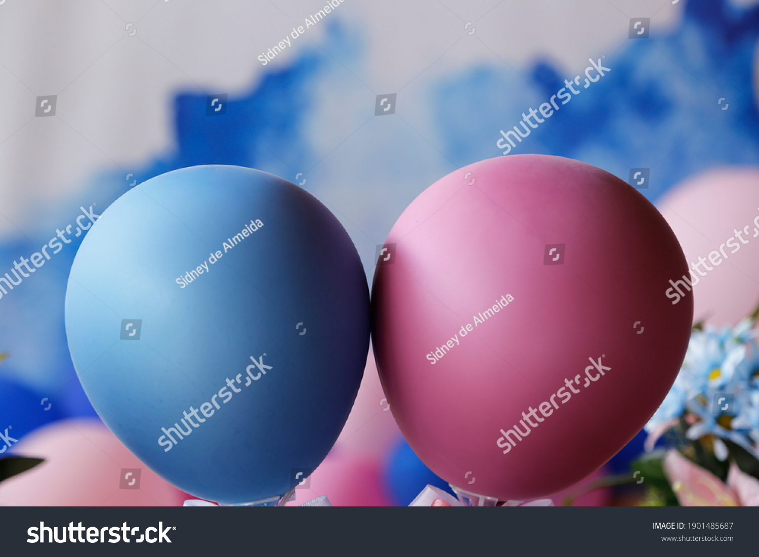 Blue and pink balls at revelation tea party - baby gender reveal party concept #1901485687