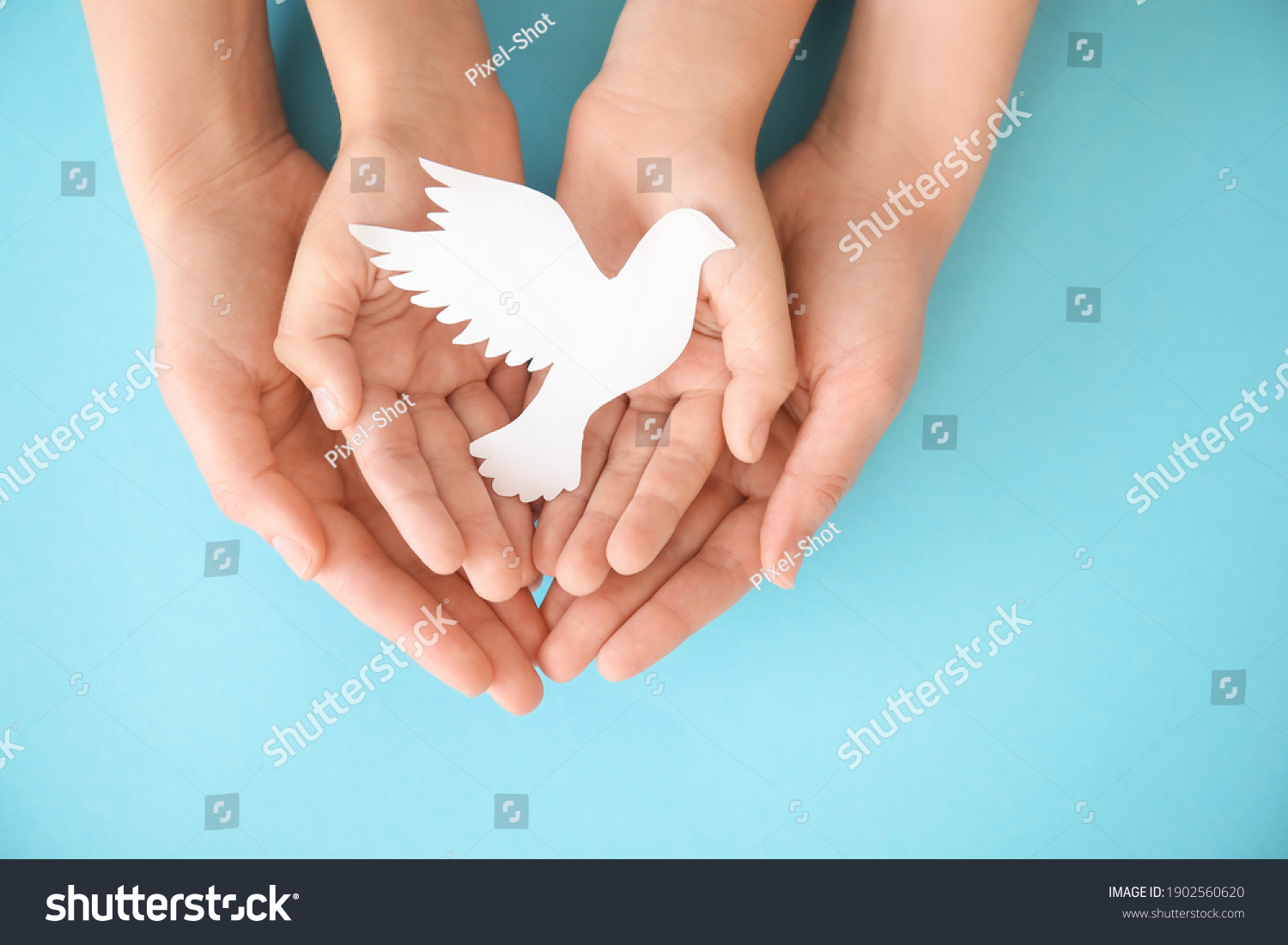 Hands of family with paper dove on color background #1902560620