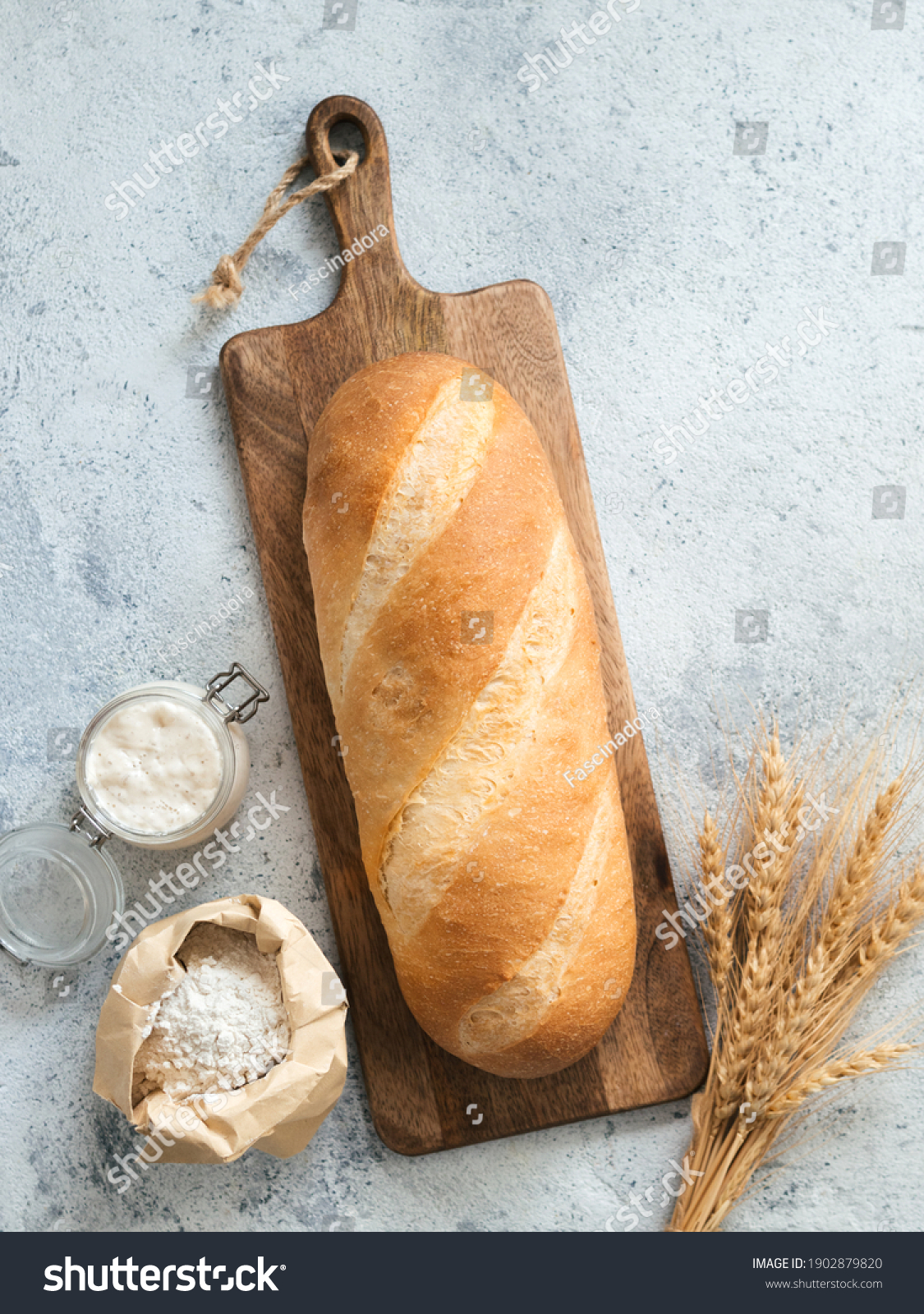 British White Bloomer or European sourdough Baton loaf bread on gray cement background. Fresh loaf bread, glass jar with sourdough starter, flour in paper bag and ears. Top view. Copy space. Vertical #1902879820