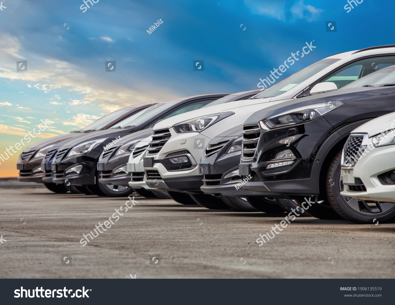 Cars For Sale Stock Lot Row. Car Dealer Inventory #1906135519