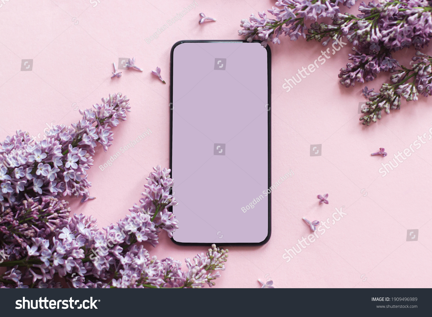 Phone with blank screen and lilac flowers border flat lay on pink paper. Smartphone mock up. Digital online spring greeting card with space for text. Happy mothers day and Womens day concept #1909496989