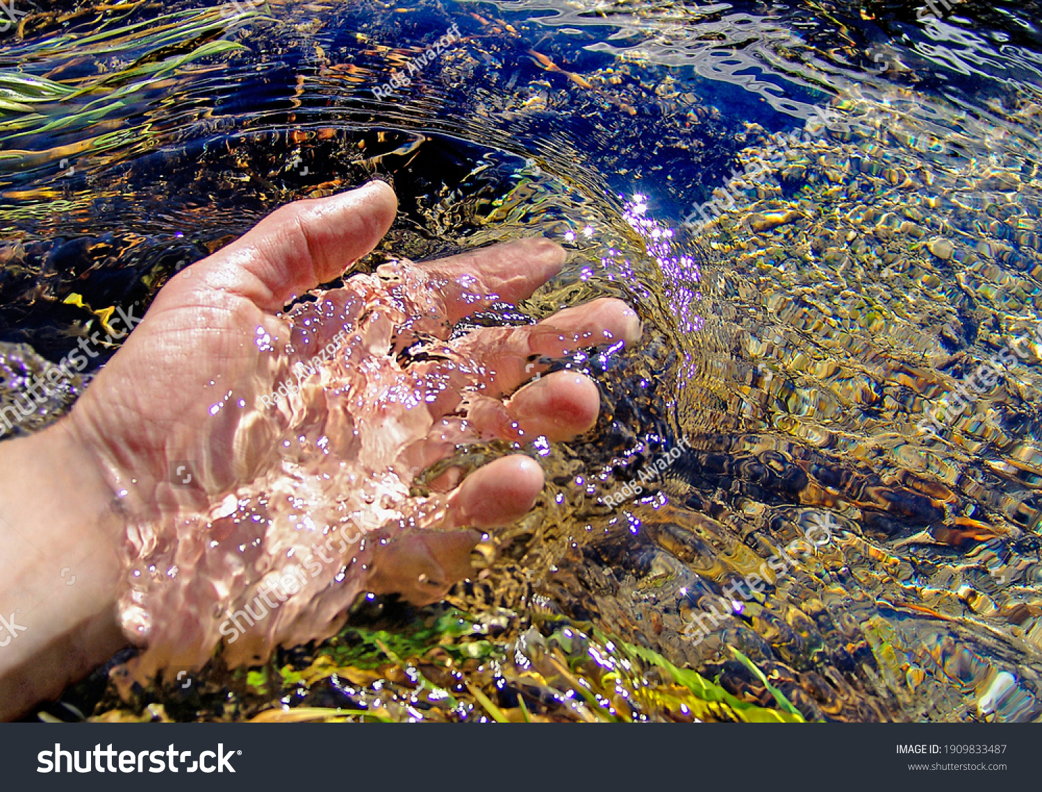  In sunny weather, the hand touches the cool water in the river. The water is clear and you can see the bottom and the rocks on the bottom.                               #1909833487