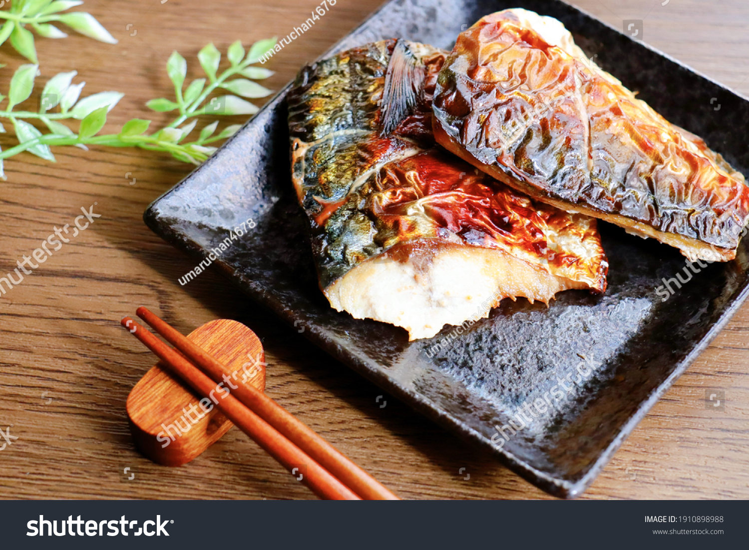 Saba no sio yaki (grilled mackerel). A traditional Japanese grilled fish dish. Two fillets on a black plate. #1910898988