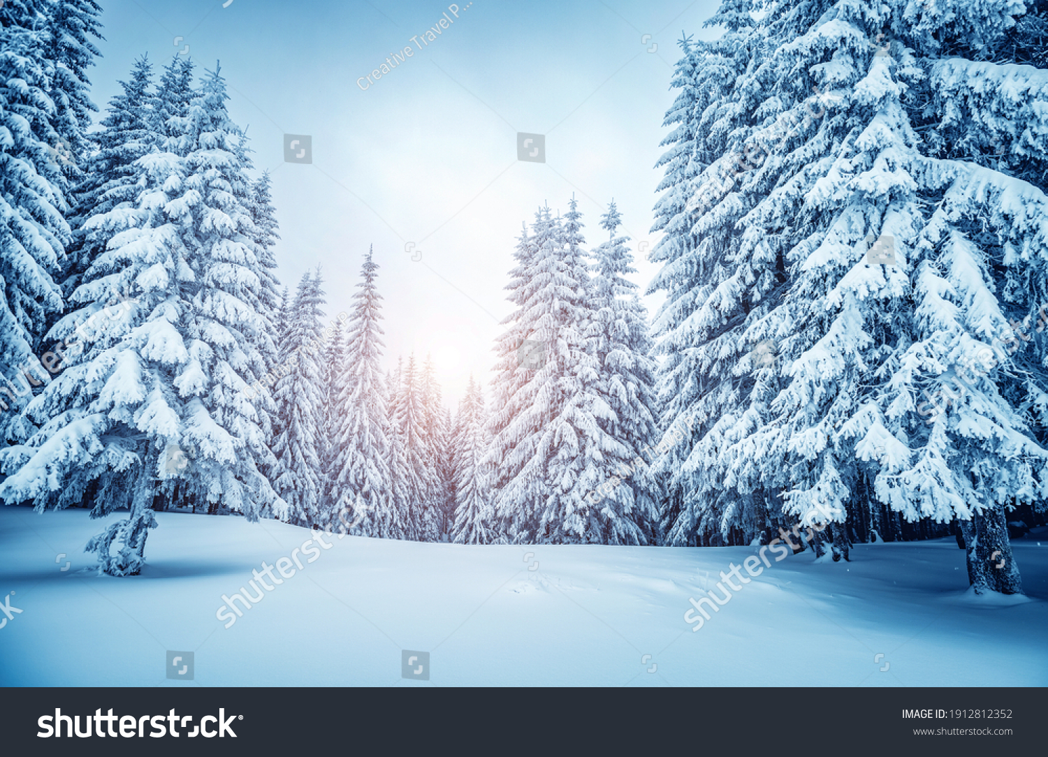 Exotic view of snow-capped spruces on a frosty day. Location place of Carpathian mountains, Ukraine, Europe. Photo wallpapers. Fabulous nature image. Happy New Year! Discover the beauty of earth. #1912812352