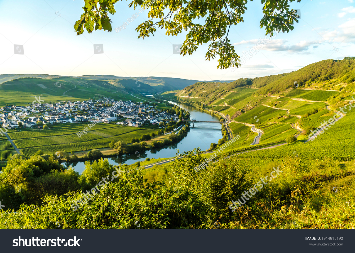 Beautiful moselle valley with view to Trittenheim in Germany #1914915190