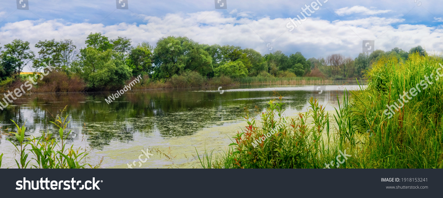 Summer landscape with thickets on the shores river and picturesque blue sky with white clouds #1918153241