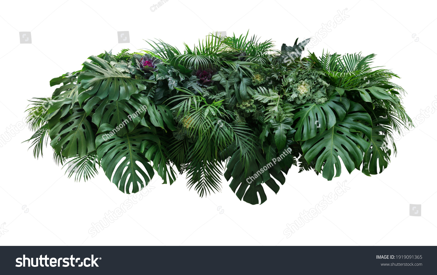 Tropical leaves foliage plant jungle bush floral arrangement nature backdrop with Monstera and tropic plants palm leaves isolated on white background, clipping path included. #1919091365