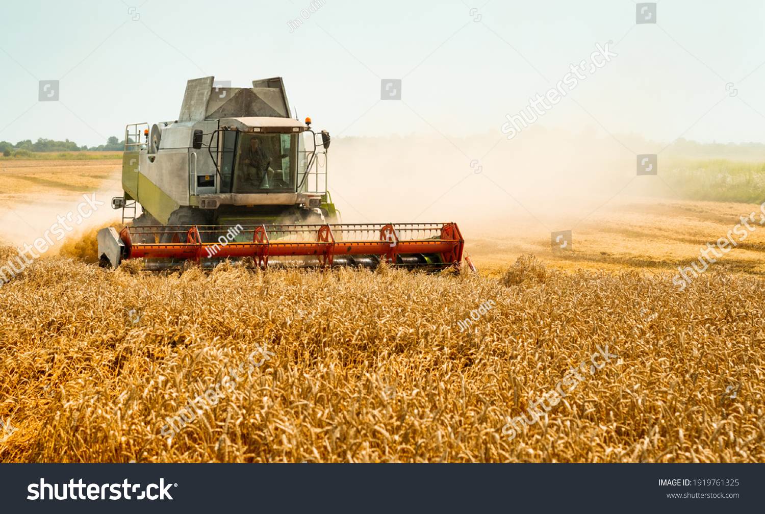 Rotary straw walker cut and threshes ripe wheat grain. Combine harvesters with grain header, wide chaff spreader reaping cereal ears. Gathering crop by agricultural machinery on field on summer season #1919761325