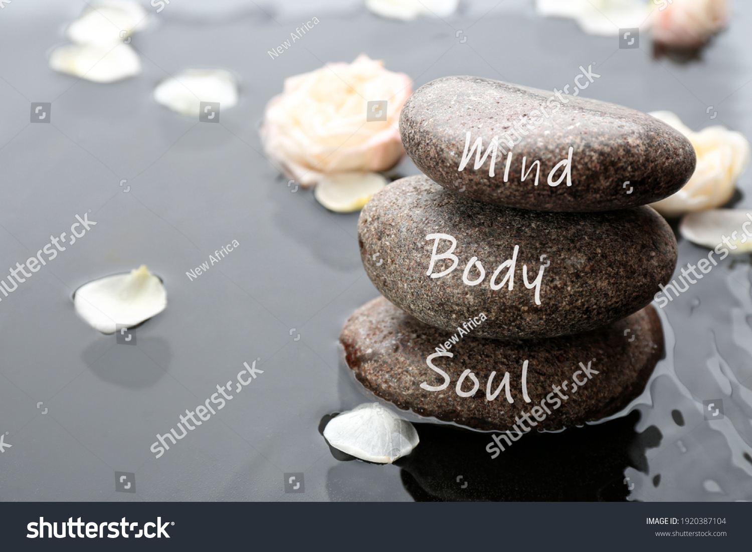 Stones with words Mind, Body, Soul and flower petals in water, space for text. Zen lifestyle #1920387104