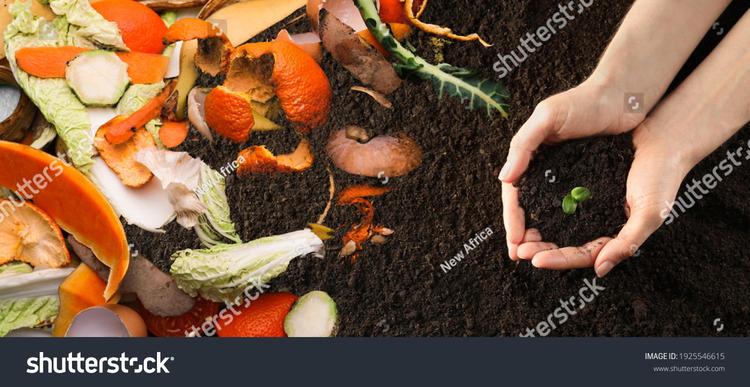 Organic waste for composting on soil and woman holding green seedling, top view. Natural fertilizer  #1925546615