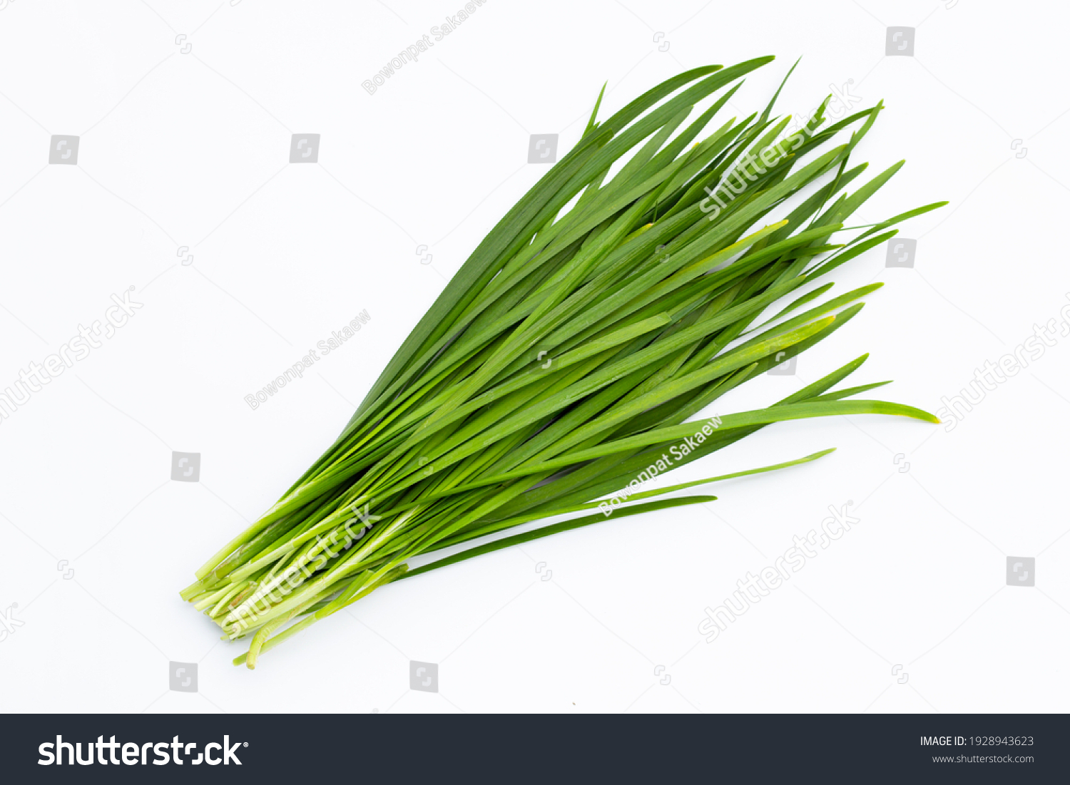 Fresh Chinese Chive leaves on white background. #1928943623