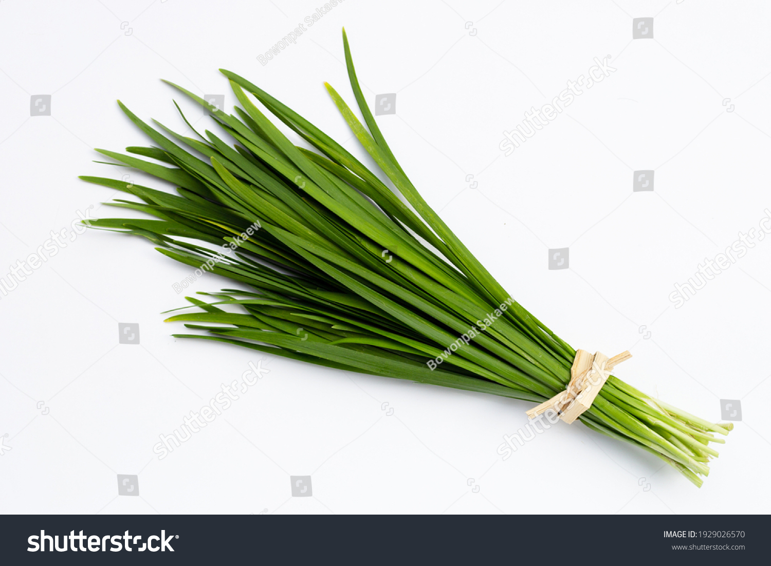Fresh Chinese Chive leaves on white background. #1929026570