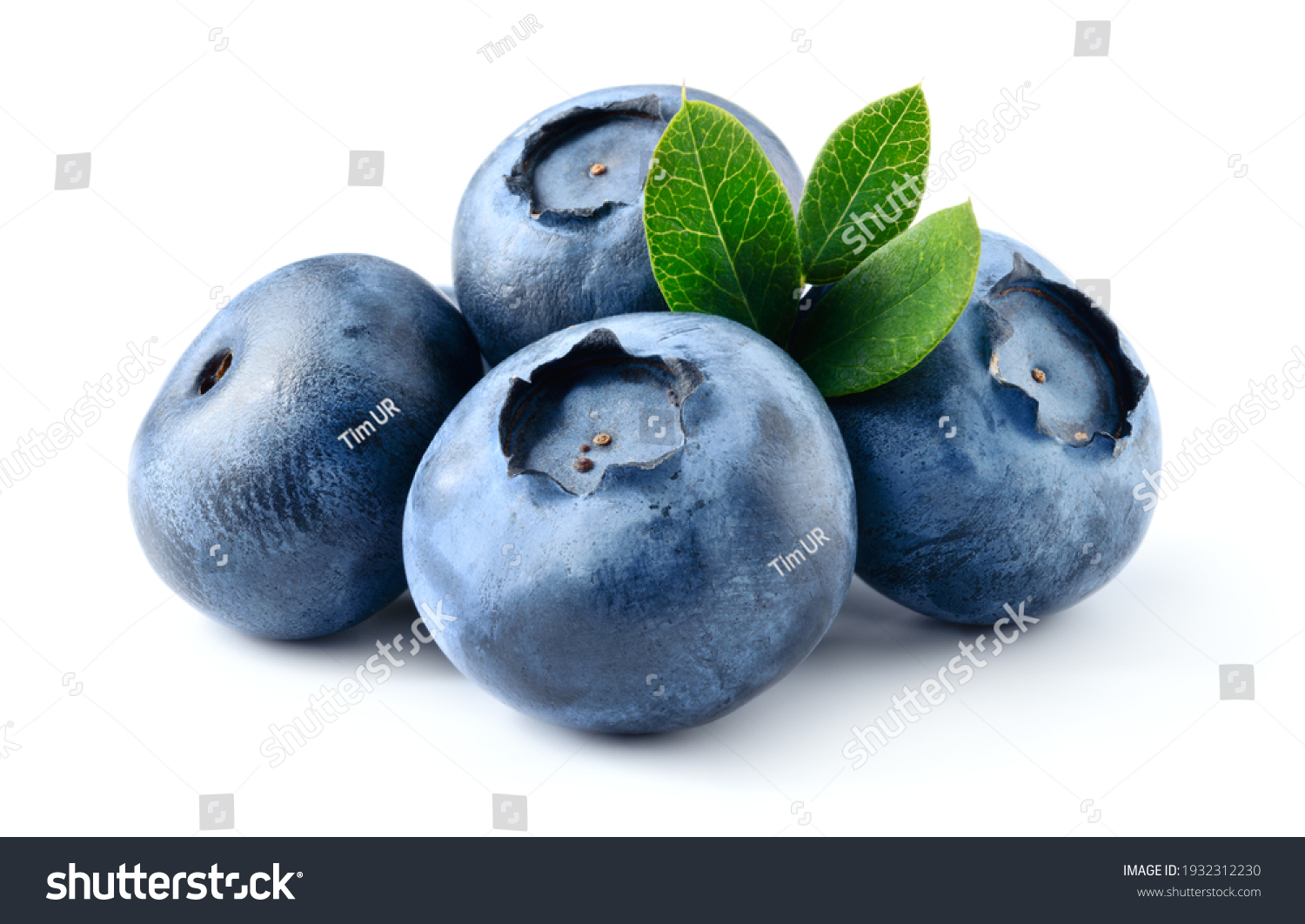 Blueberry isolated. Blueberry with leaves on white. Bilberry on white background. Full depth of field. #1932312230