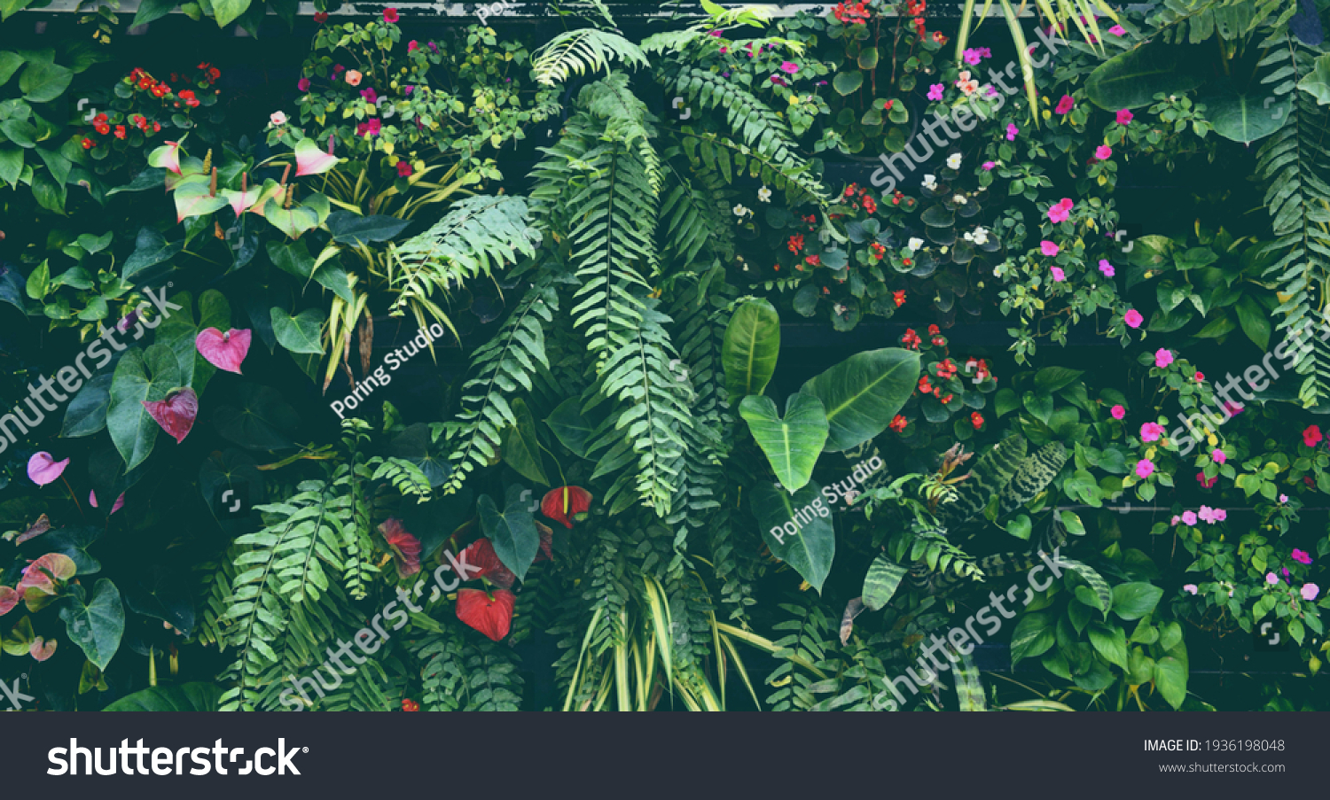 Plant wall with lush green colors, variety plant forest garden on walls orchids various fern leaves jungle palm and flower decorate in the garden rainforest background #1936198048