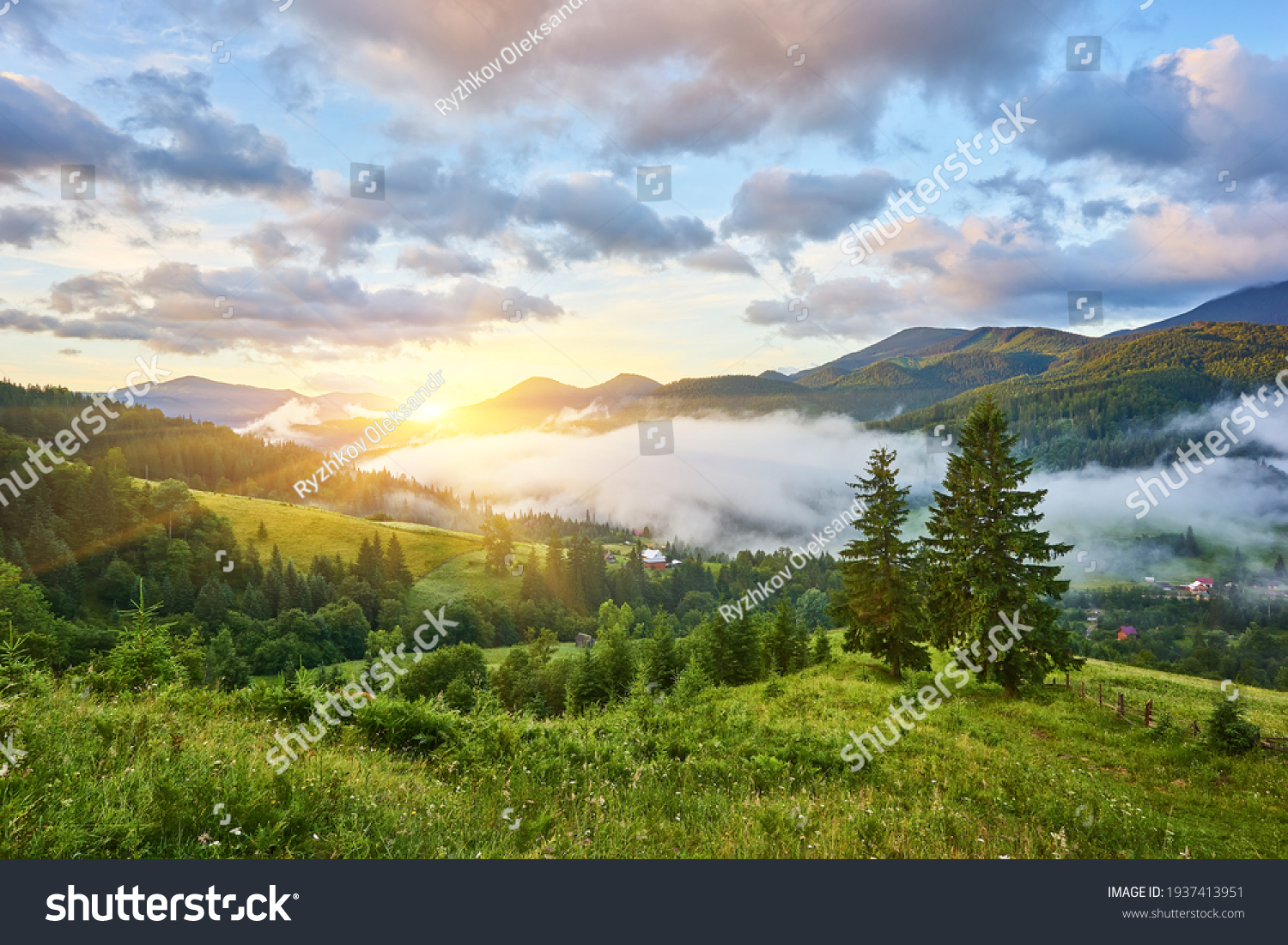 Landscape with fog in mountains and rows of trees #1937413951