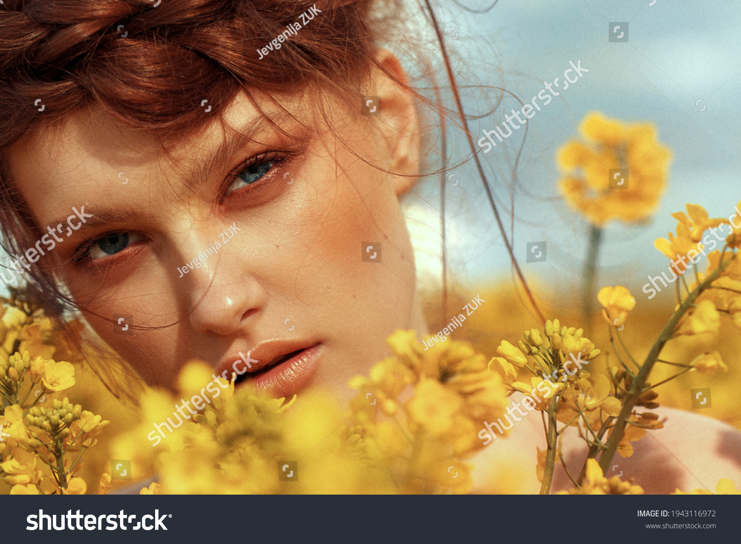  Young fashion model portrait with ginger hair and blue eyes in yellow rapeseed field #1943116972