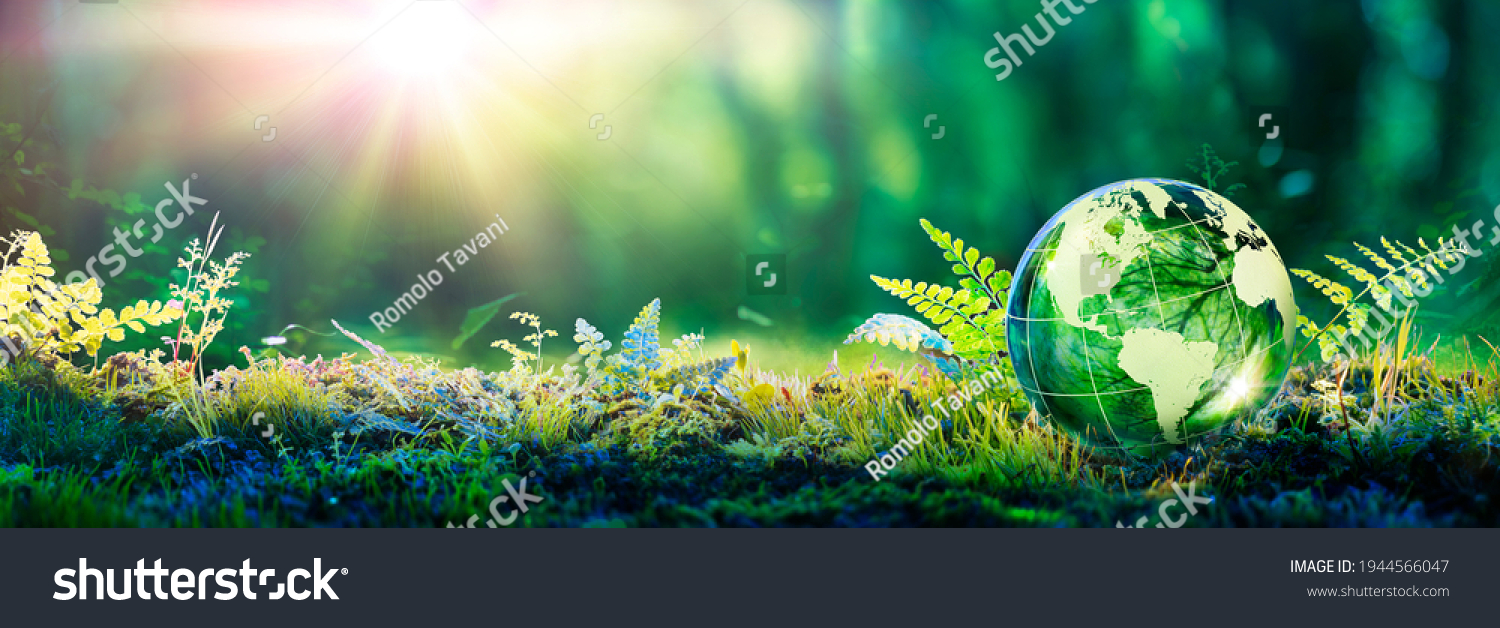 Environment Concept - Globe Glass In Green Forest With Sunlight #1944566047