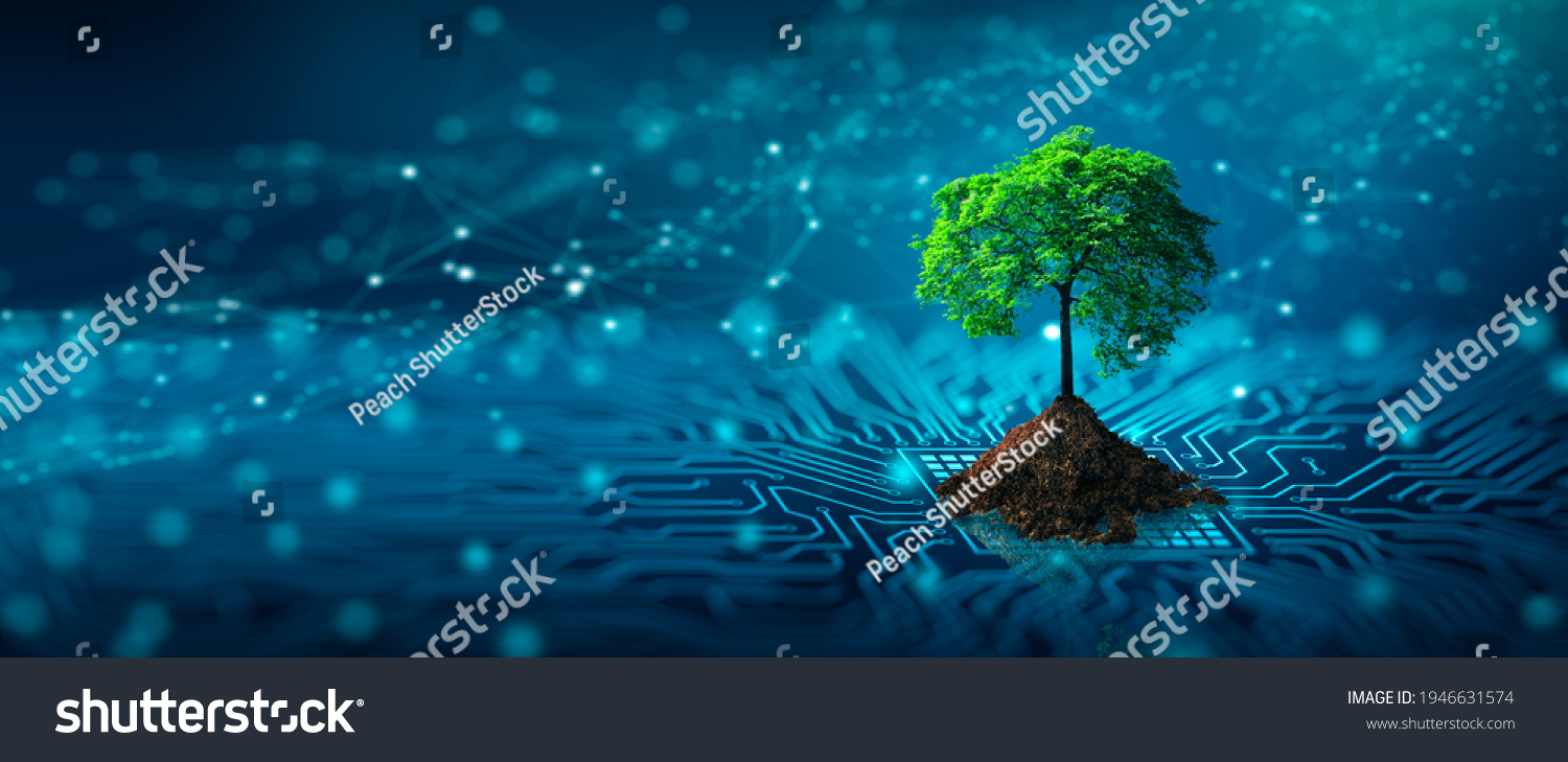 Tree with soil growing on  the converging point of computer circuit board. Blue light and wireframe network background. Green Computing, Green Technology, Green IT, csr, and IT ethics Concept. #1946631574