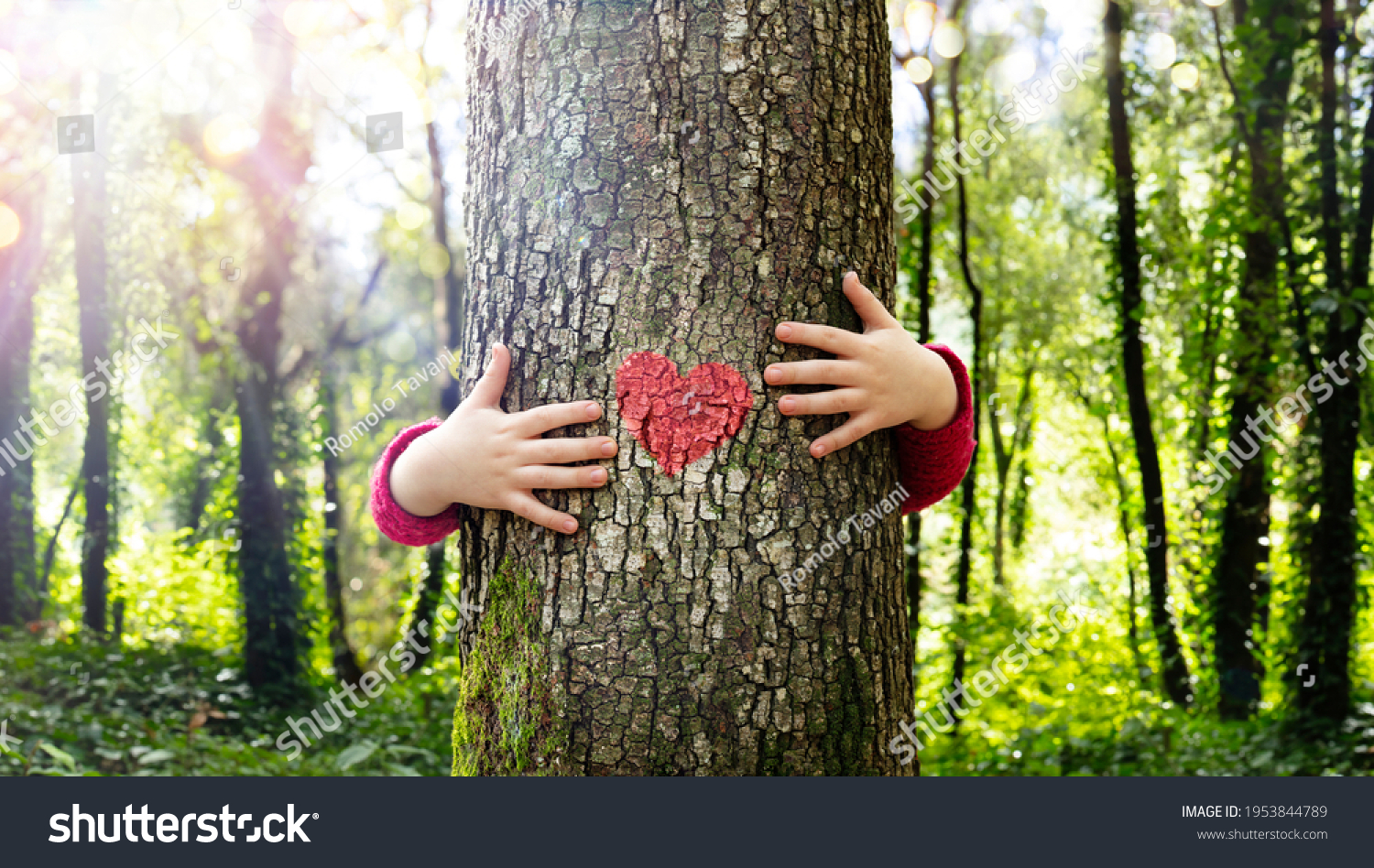 Tree Hugging - Love Nature - Child Hug The Trunk With Red Heart Shape #1953844789