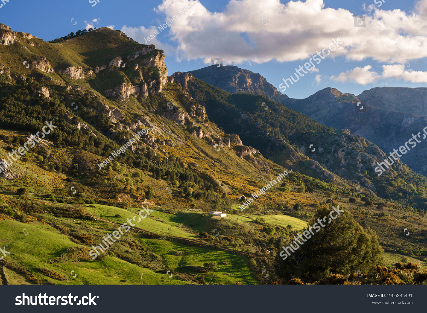 North face of the Sierra Prieta mountains, near the Sierra de las Nieves national park in Malaga. Andalusia, Spain #1966835491