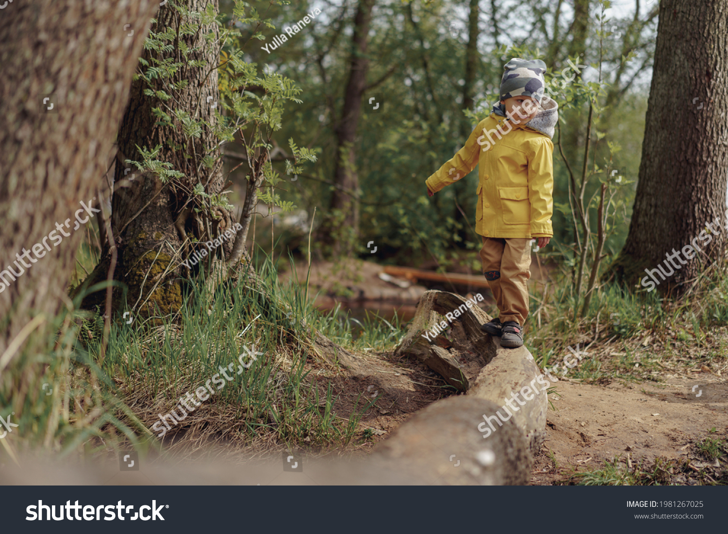 little caucasian 4 years old boy walking on the log over the stream in forest.  Image with selective focus #1981267025