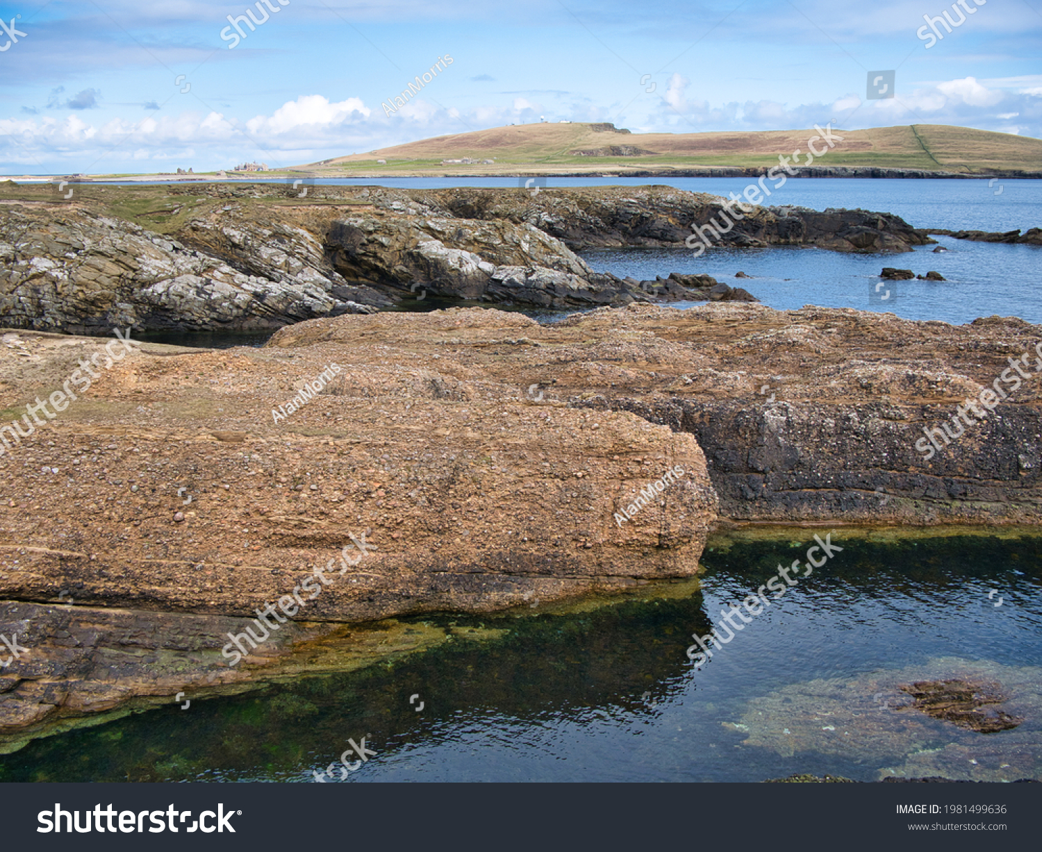 Conglomerate rock (fore) and inclined strata (behind) on the Ness of Burgi, south Shetland, UK - Hayes Sandstone Formation - Sedimentary Bedrock formed 383 to 393m years ago in the Devonian Period. #1981499636