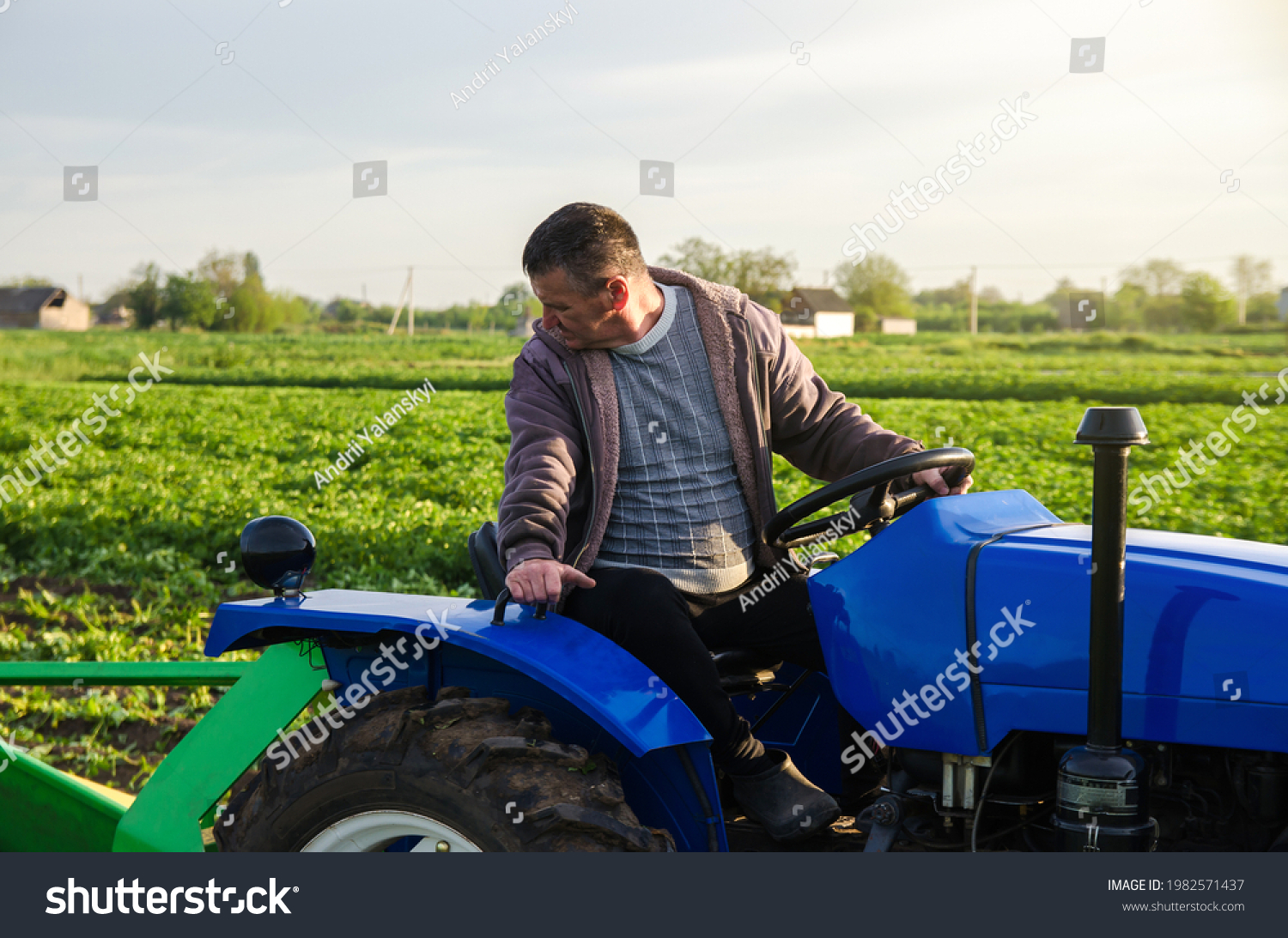 A farmer on a tractor monitors the operation of equipment for harvesting potatoes. Farming and farmland. Simplify speed up work with technology and machines. Agro industry and agribusiness #1982571437