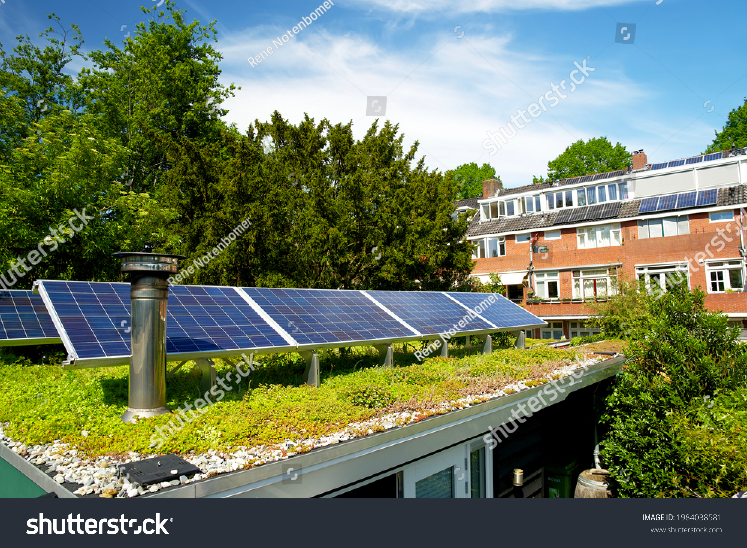 Solar panels on a green roof with flowering sedum plants #1984038581