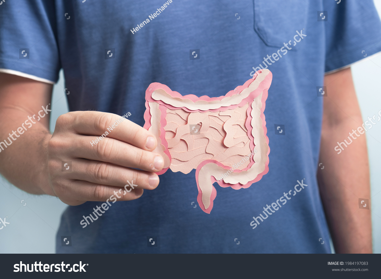 Man holding decorative model intestine. Healthy digestion concept, probiotics and prebiotics for microbiome intestine. Close up #1984197083