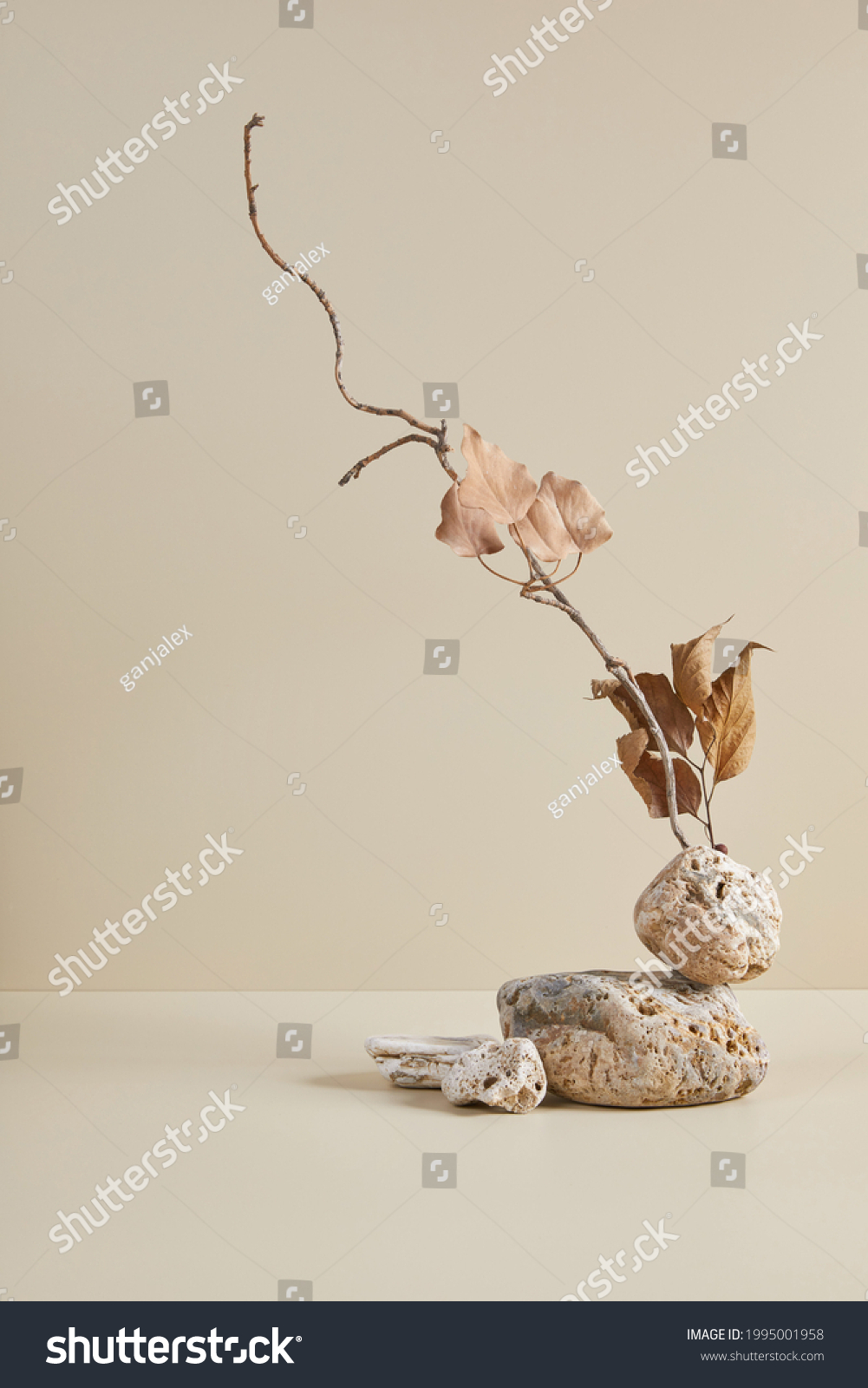 Abstract nature scene with composition of stones and dry branch. Neutral beige background for cosmetic, beauty product branding, identity and packaging. Natural pastel colors. Copy space, front view. #1995001958
