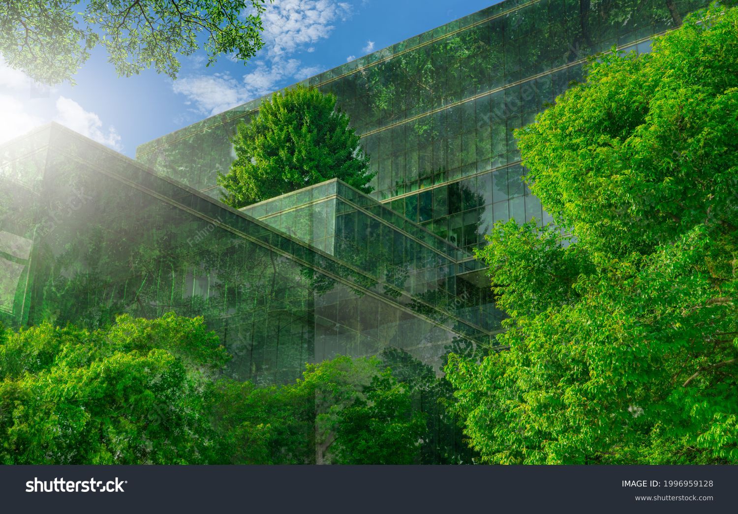 Selective focus on tree and eco friendly building with vertical garden in modern city. Green tree forest on sustainable glass building. Office building with green environment. Go green concept. #1996959128