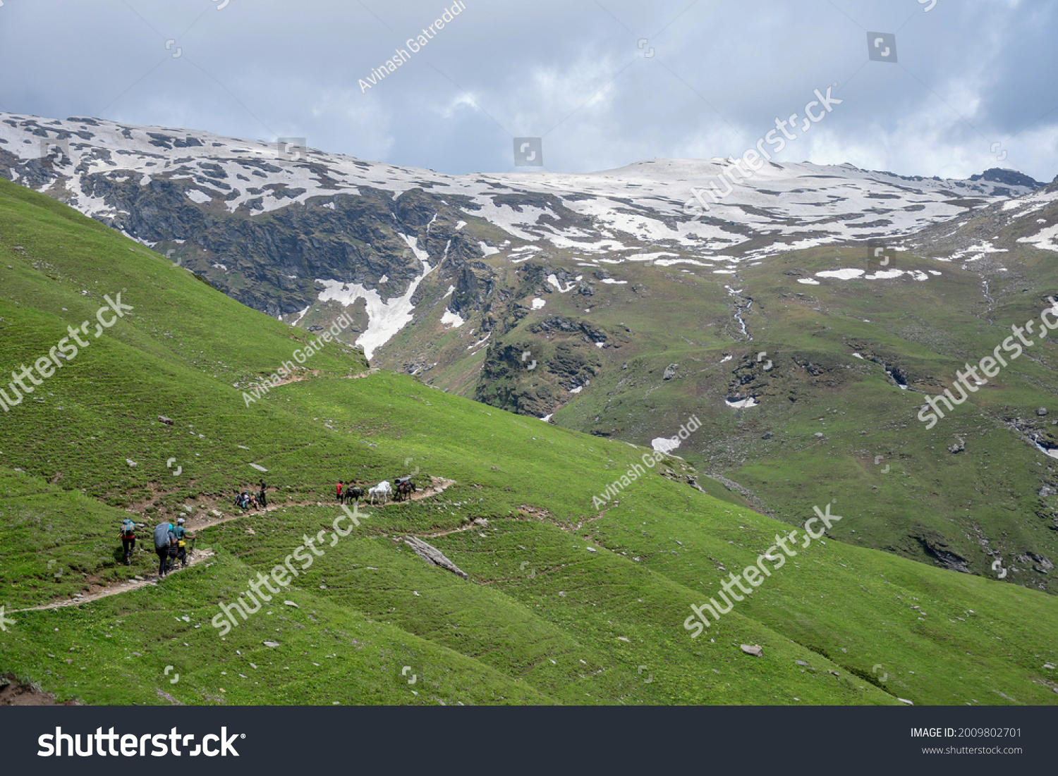 High altitude Bhrigu lake trek on meadows and snow capped mountains #2009802701
