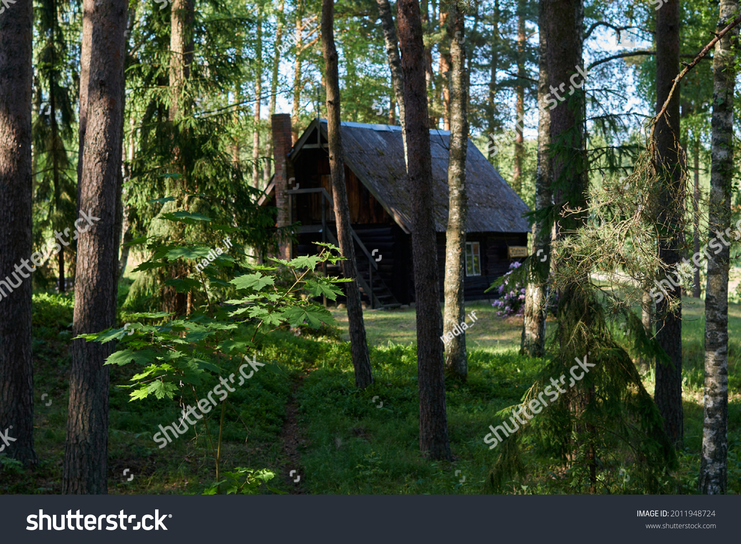 Countryside old rural house in the middle of the forest, like russian children's fairy tales. selective focus. #2011948724