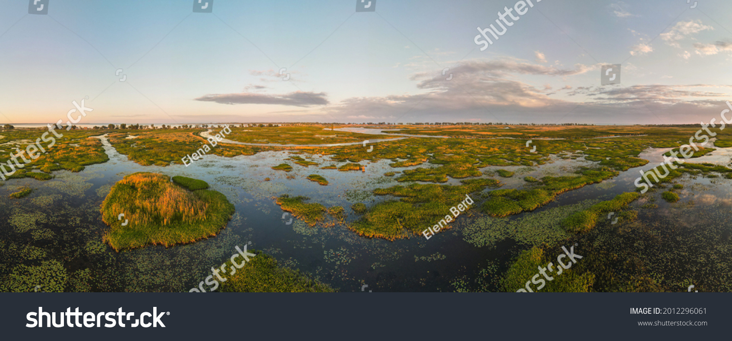Aerial panoramic sunset sunrise scene at swamps and wetlands of Big Creek National Wildlife Area near Long Point Provincial Park, Lake Erie shore. #2012296061