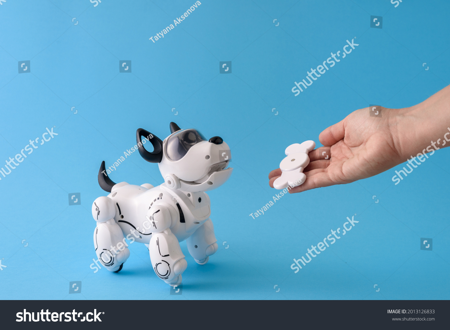 Robot dog pet on light blue background with human hand giving bone #2013126833