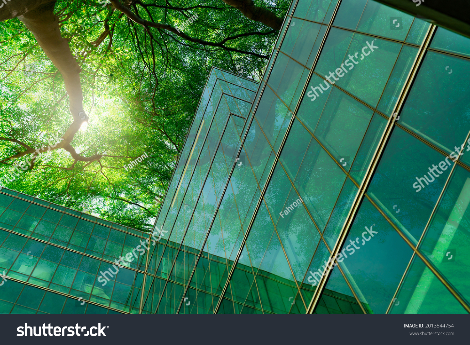 Eco-friendly building in the modern city. Green tree branches with leaves and sustainable glass building for reducing heat and carbon dioxide. Office building with green environment. Go green concept. #2013544754