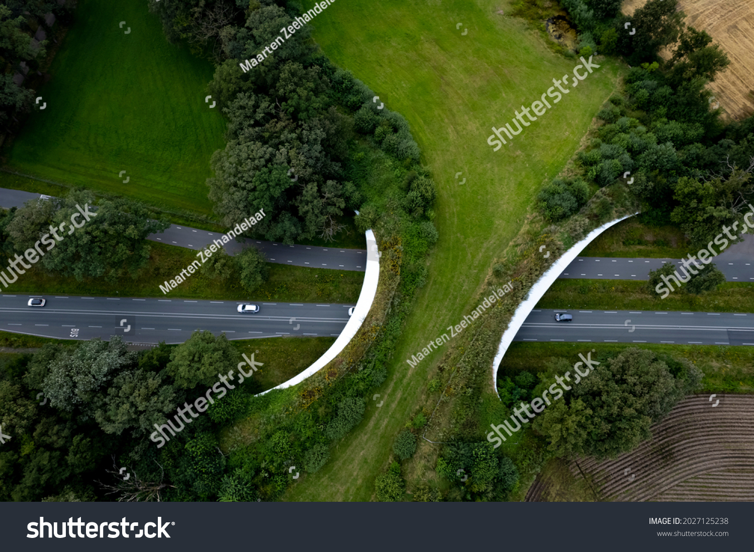 Motorway passing underneath wildlife crossing forming a safe natural corridor bridge for animals to migrate between conservancy areas. Environment nature reserve infrastructure eco passage. #2027125238