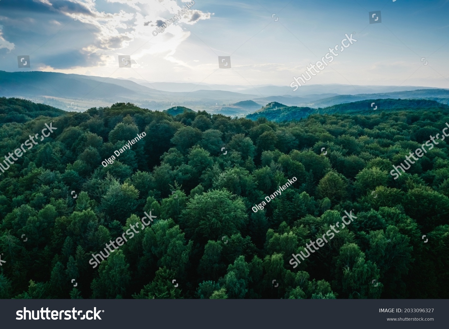 Aerial top view forest tree, Rainforest ecosystem and healthy environment concept and background, Texture of green tree forest view from above #2033096327