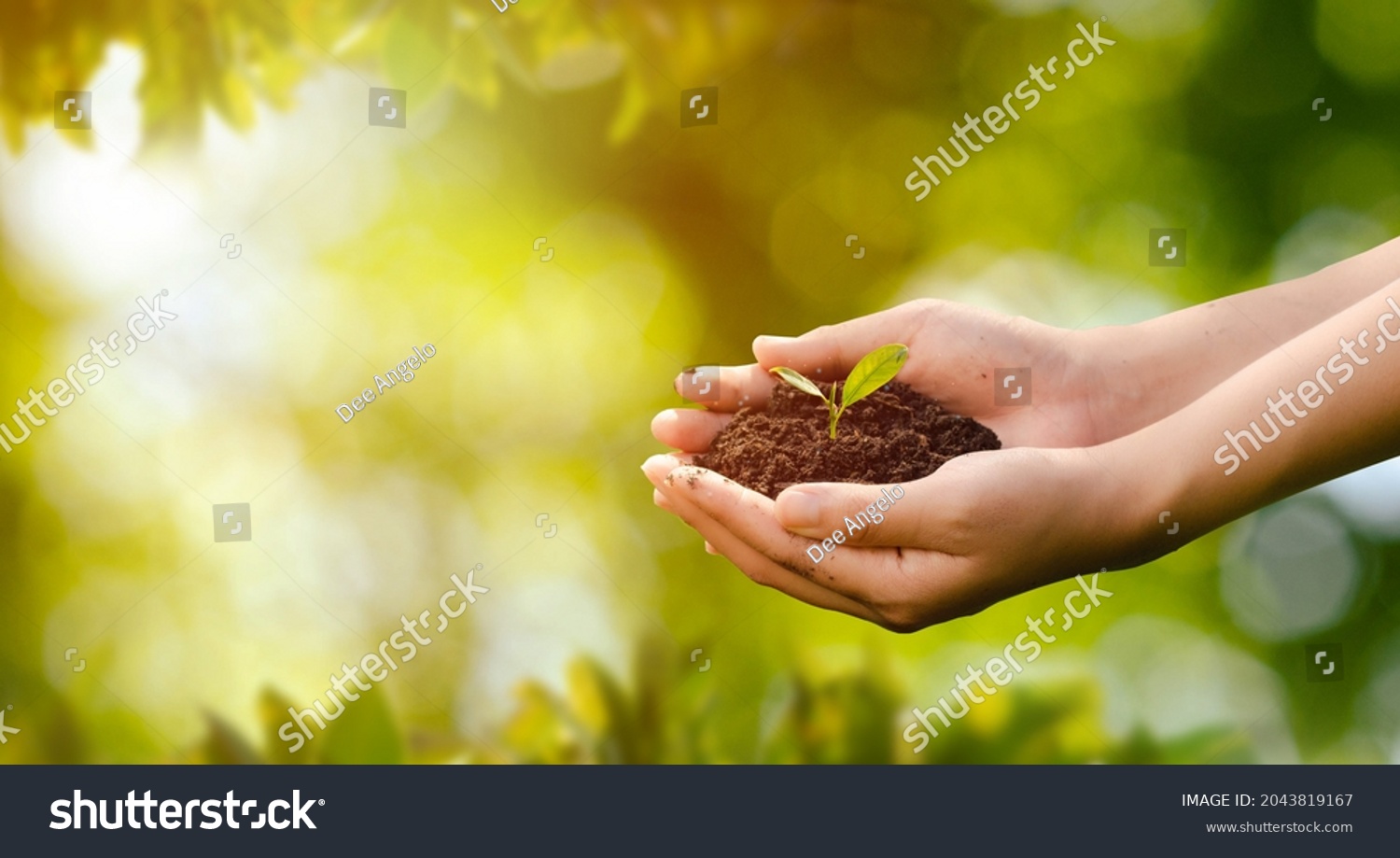world environment day concept: planting trees to save the world with human hands holding small trees over blurred agricultural field background #2043819167
