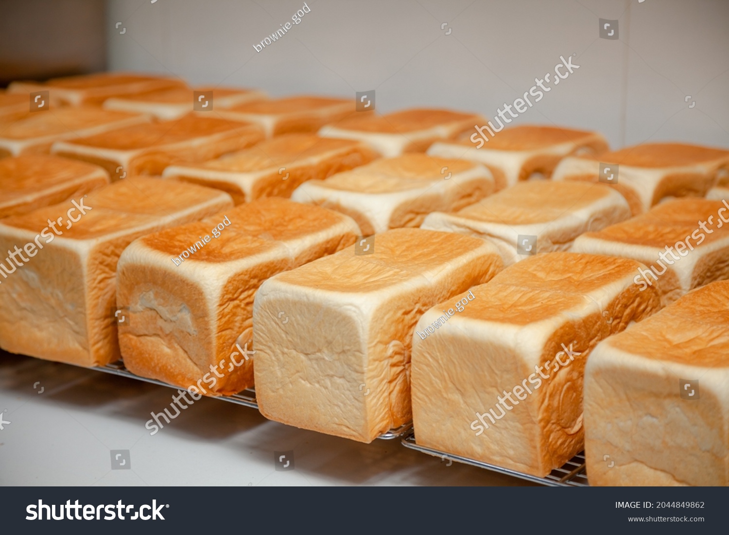 Shokupan Japanese style breads many loafs #2044849862