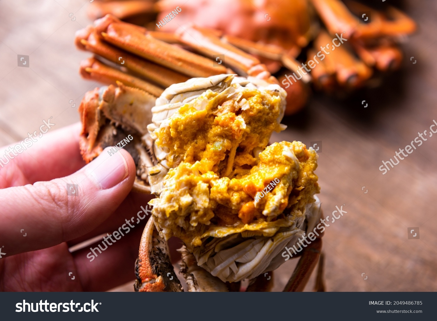 Cooked hairy crabs on the table, Closeup. The hairy crab and rich crab cream. #2049486785