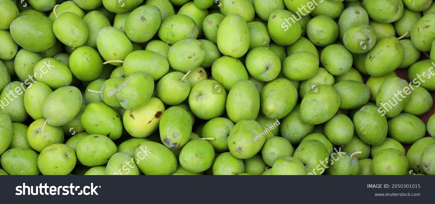 The olive, known by the botanical name Olea europaea, meaning "European olive", is a species of small tree in the family Oleaceae, found traditionally in the Mediterranean Basin. #2050301015