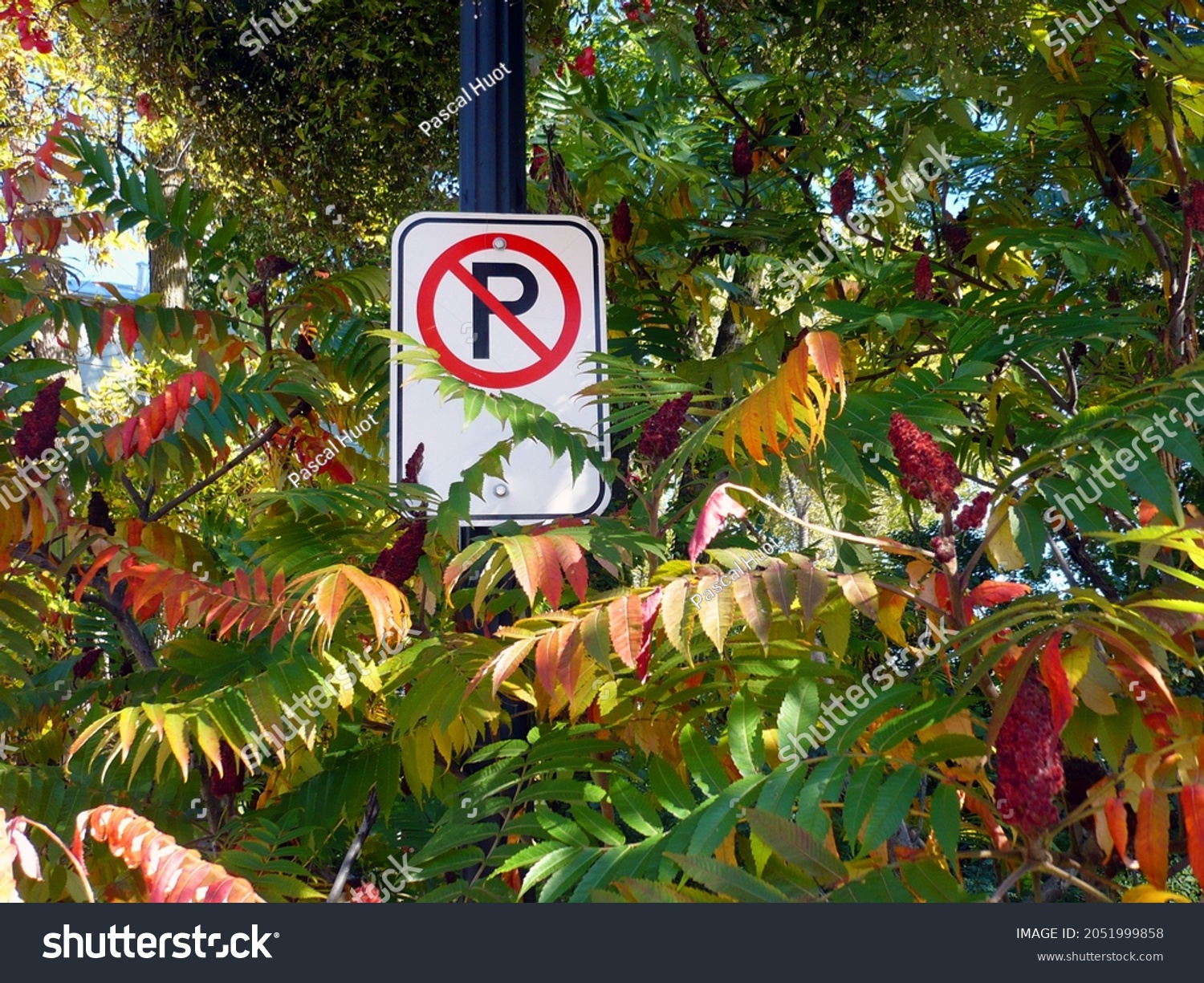 road sign prohibiting parking at this location #2051999858