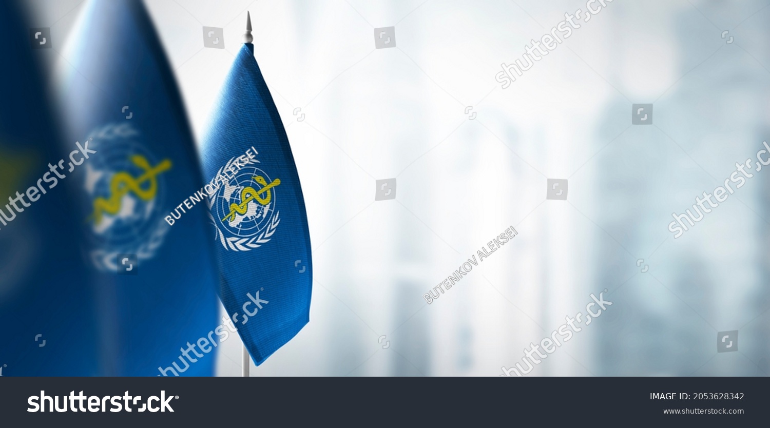 Small flags of World Health Organization WHO on a blurry background of the city #2053628342