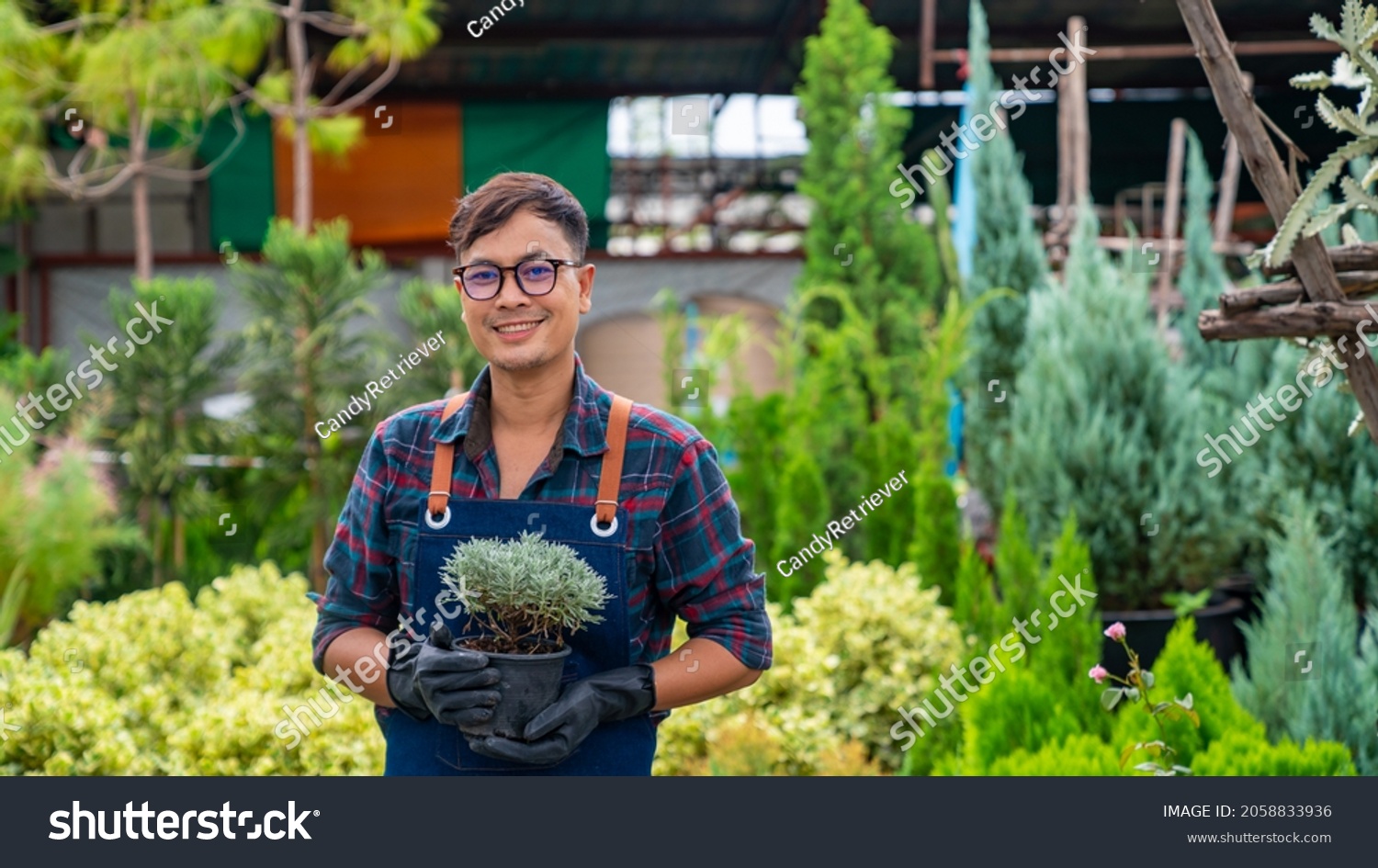 Portrait of Asian man gardener caring potted plants and flowers in greenhouse garden. Male plant shop owner working with houseplants in store. Small business entrepreneur and plant caring concept #2058833936