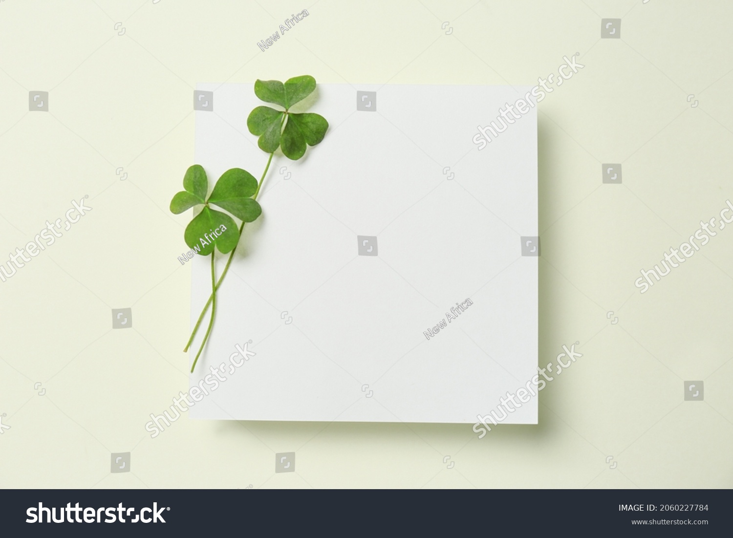 Green clover leaves and blank card on light background, top view. Space for text #2060227784